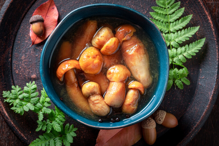 kaldu jamur