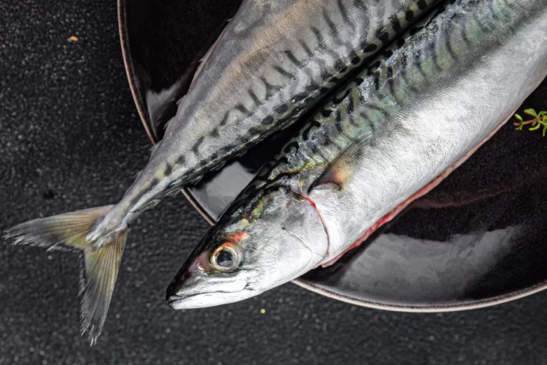 makanan yang mengandung omega 3