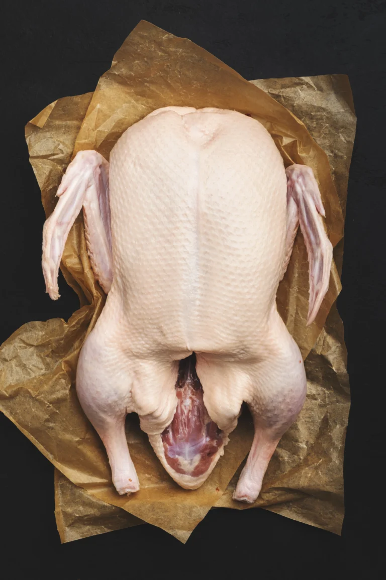 bagian daging ayam