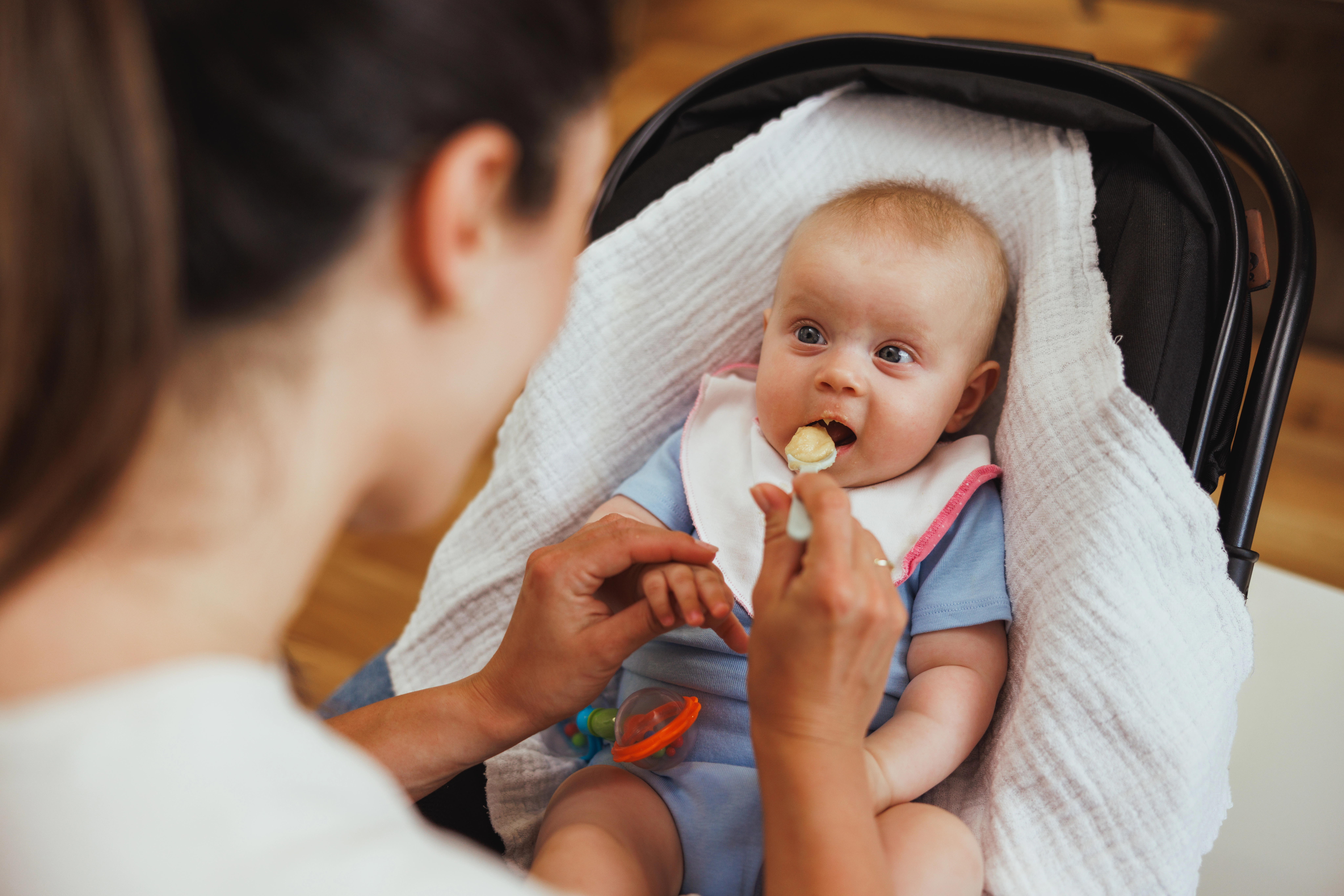snack bayi 6 bulan