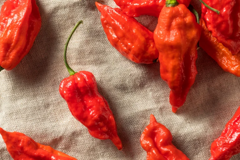 ghost pepper